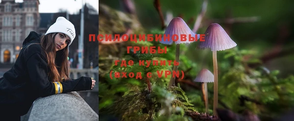 ешки Абинск