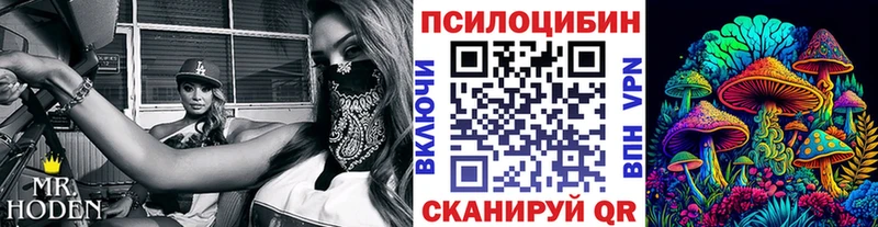 МЕГА ссылка Чишмы Галлюциногенные грибы мицелий купить наркотики сайты